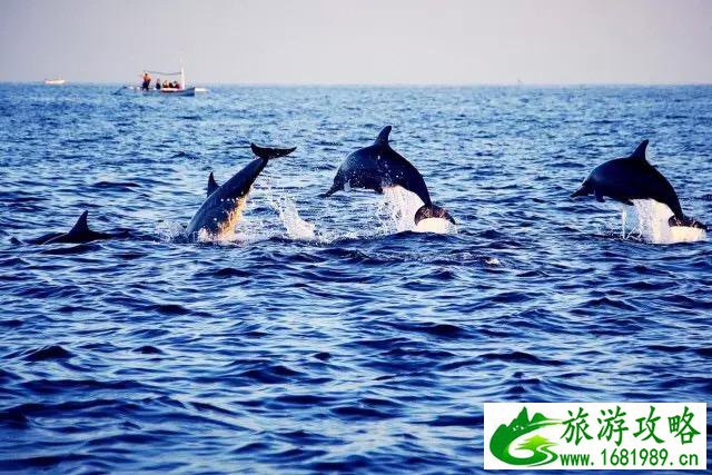 2022年巴厘岛旅游攻略+注意事项 2022年巴厘岛旅游攻略+注意事项