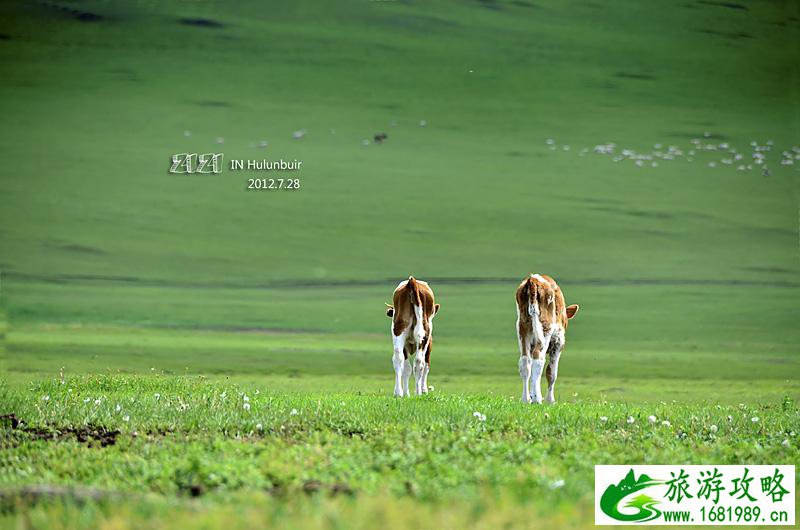 呼伦贝尔二日游攻略 呼伦贝尔二日游路线 呼伦贝尔二日游攻略 呼伦贝尔二日游路线