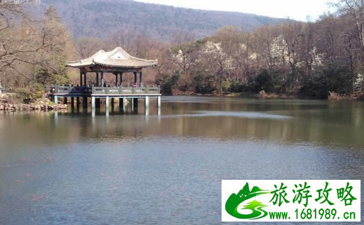 南京最美的9个地方分别在哪里 南京最美的9个地方旅游攻略 南京最美的9个地方分别在哪里 南京最美的9个地方旅游攻略