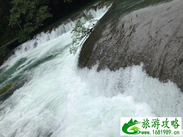 武汉-常德-镇远-千户苗寨-贵阳-黄果树瀑布-凤凰古镇旅游攻略 武汉-常德-镇远-千户苗寨-贵阳-黄果树瀑布-凤凰古镇旅游攻略