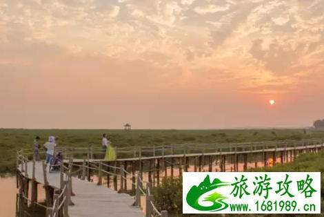 金海湾红树林门票是多少 金海湾红树林好玩吗 金海湾红树林门票是多少 金海湾红树林好玩吗