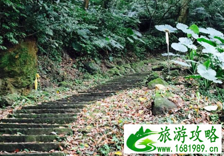 苗栗南庄乡有什么好玩的   苗栗县南庄乡旅游