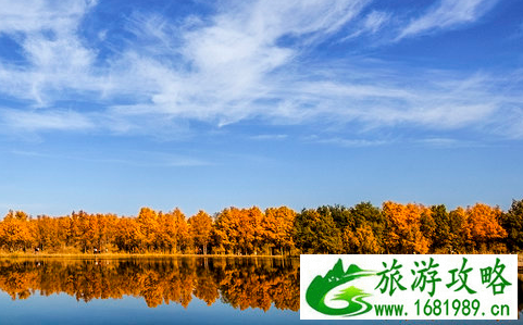 去额济纳看胡杨林攻略 去额济纳看胡杨林几月份比较好 去额济纳看胡杨林攻略 去额济纳看胡杨林几月份比较好