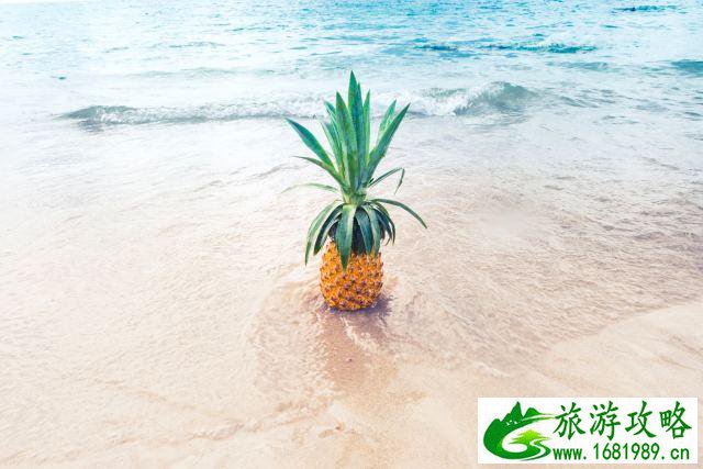 旅游方式有哪些 最舒服的旅游方式有哪些 旅游方式有哪些 最舒服的旅游方式有哪些