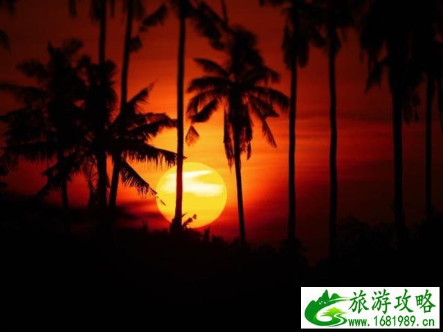 旅游方式有哪些 最舒服的旅游方式有哪些 旅游方式有哪些 最舒服的旅游方式有哪些