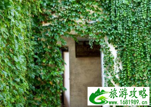 绩溪有什么好玩的景点  绩溪在哪里