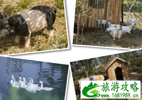 汤山水魔方水上乐园在哪儿 汤山水魔方水上乐园在哪儿