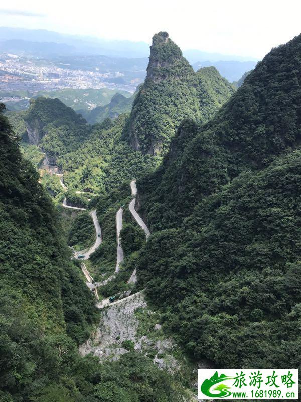 武汉到张家界凤凰古城贵州旅游攻略 武汉到张家界凤凰古城贵州旅游攻略