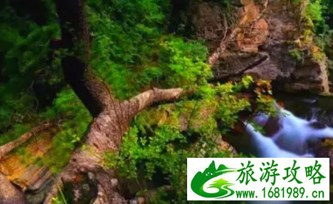 泾源有哪些好玩的景点 泾源旅游攻略 泾源有哪些好玩的景点 泾源旅游攻略