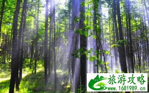 泾源有哪些好玩的景点 泾源旅游攻略 泾源有哪些好玩的景点 泾源旅游攻略