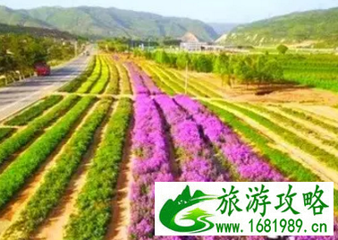 泾源有哪些好玩的景点 泾源旅游攻略 泾源有哪些好玩的景点 泾源旅游攻略