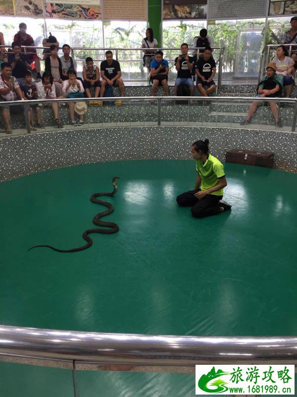 2017年泰国自由行旅游攻略 2017年泰国自由行旅游攻略