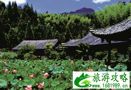 温州有哪些好玩的小镇 温州文艺小镇在哪里 温州有哪些好玩的小镇 温州文艺小镇在哪里