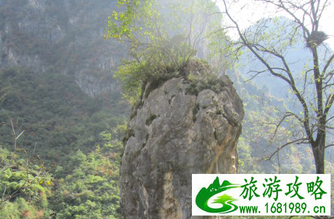 望夫石在哪里 望夫石的故事 望夫石在哪里 望夫石的故事