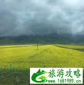 青海湖有哪些景区 青海湖旅游攻略 青海湖有哪些景区 青海湖旅游攻略