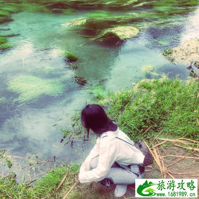 新西兰北岛5天4晚旅游攻略 新西兰北岛5天4晚旅游攻略