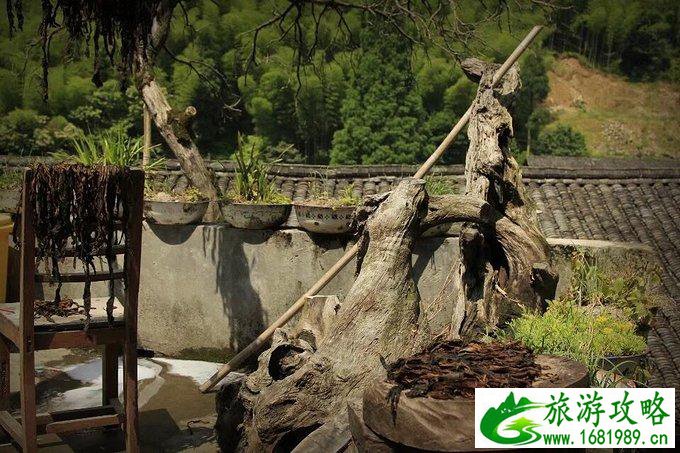 楠溪江哪个景点最好玩 楠溪江旅游攻略 楠溪江哪个景点最好玩 楠溪江旅游攻略