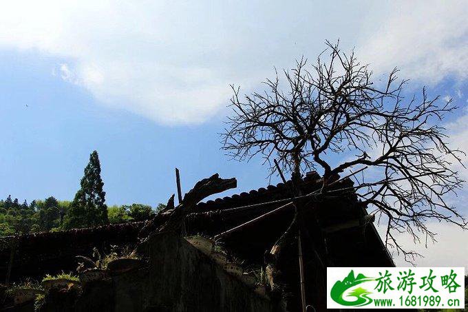 楠溪江哪个景点最好玩 楠溪江旅游攻略 楠溪江哪个景点最好玩 楠溪江旅游攻略