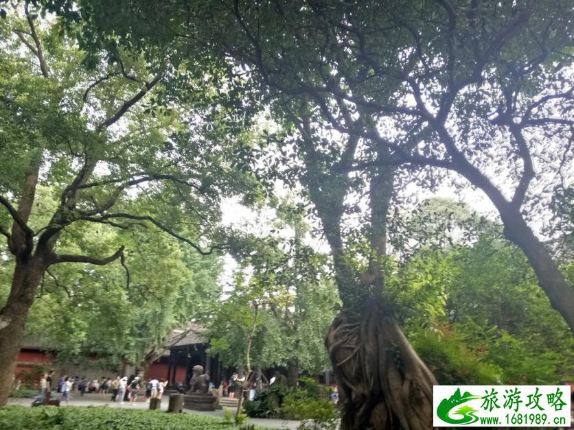 2017年8月去成都旅游需要注意什么 2017年8月去成都旅游需要注意什么