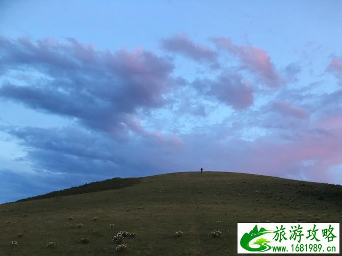 乌兰布统草原有什么特产 乌兰布统草原旅游攻略2017 乌兰布统草原有什么特产 乌兰布统草原旅游攻略2017