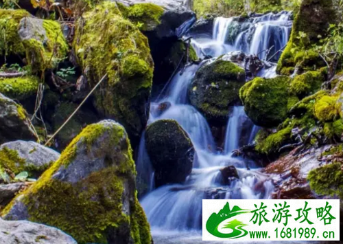 神龙架在哪儿 神龙架夏季平均气温是多少度 神龙架在哪儿 神龙架夏季平均气温是多少度