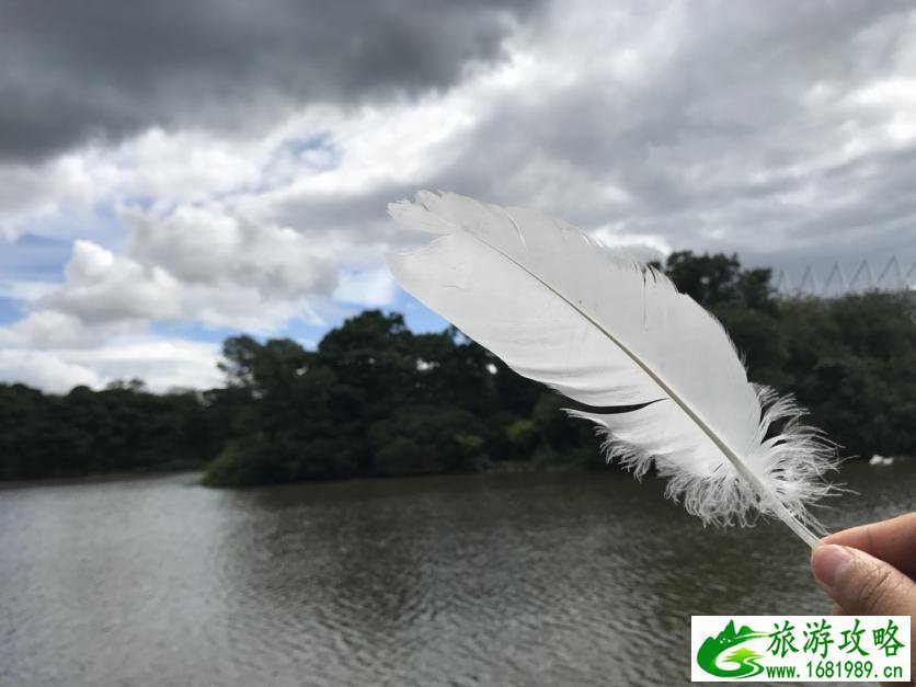 英国纽卡斯尔旅游攻略2017 英国纽卡斯尔旅游攻略2017