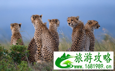 中国游客到非洲避暑去哪几个国家好 中国游客到非洲避暑去哪几个国家好