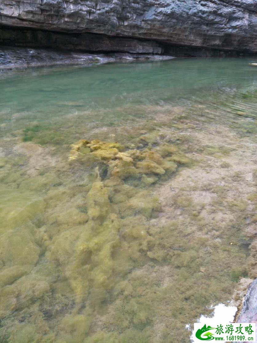林州大峡谷门票多少钱 林州大峡谷在哪里