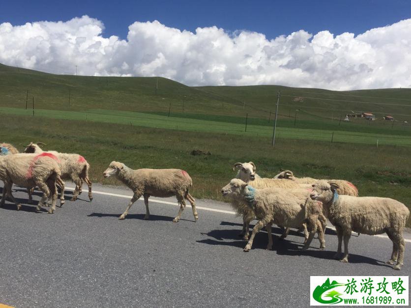 祁连山有什么好玩的 祁连山旅游景点有哪些
