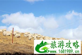 祁连山有什么好玩的 祁连山旅游景点有哪些