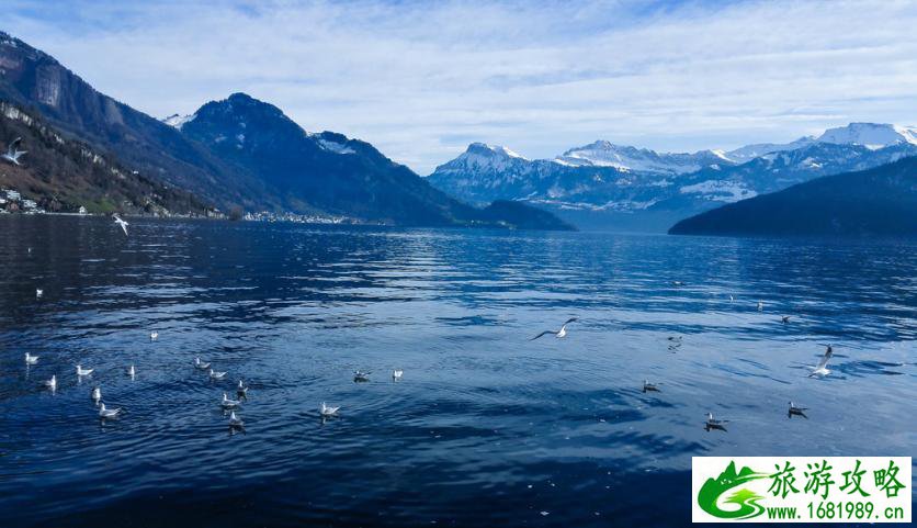 瑞士瑞吉山攻略 瑞吉山最佳路线 瑞士瑞吉山攻略 瑞吉山最佳路线