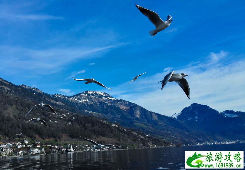 瑞士瑞吉山攻略 瑞吉山最佳路线 瑞士瑞吉山攻略 瑞吉山最佳路线