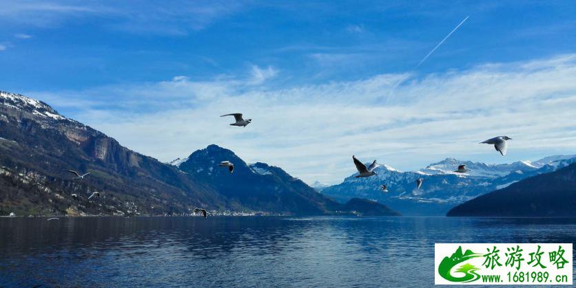 瑞士瑞吉山攻略 瑞吉山最佳路线 瑞士瑞吉山攻略 瑞吉山最佳路线