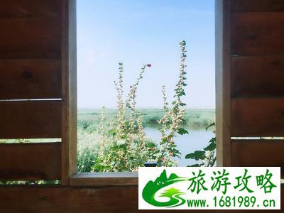 宁夏沙湖旅游攻略2017