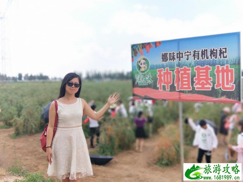 宁夏沙湖旅游攻略2017