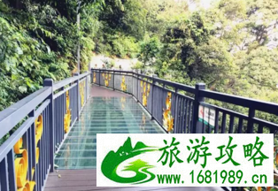 广东玻璃桥在哪里 广东玻璃桥合集