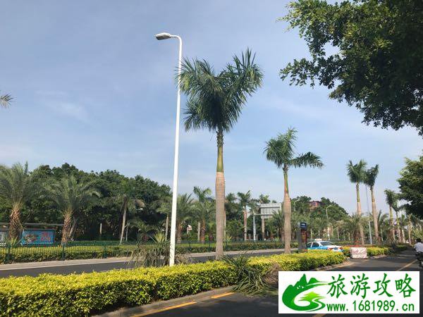 武汉到厦门旅游攻略2017 价格多少钱