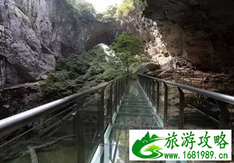 广东玻璃桥在哪里 广东玻璃桥合集