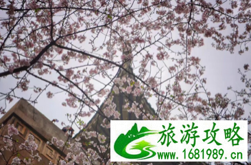 武汉有什么旅游景点 武汉三日游攻略 武汉有什么旅游景点 武汉三日游攻略