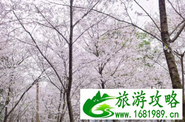 武汉有什么旅游景点 武汉三日游攻略 武汉有什么旅游景点 武汉三日游攻略