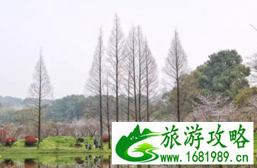 武汉有什么旅游景点 武汉三日游攻略 武汉有什么旅游景点 武汉三日游攻略