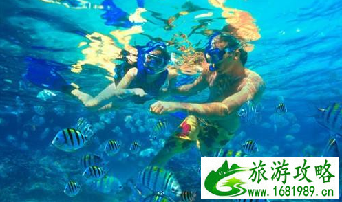 越南芽庄旅游攻略2017 越南芽庄有哪些好玩的景点 越南芽庄旅游攻略2017 越南芽庄有哪些好玩的景点