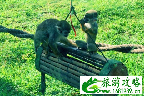 珍珠岛在哪里 珍珠岛有什么好玩的 珍珠岛在哪里 珍珠岛有什么好玩的