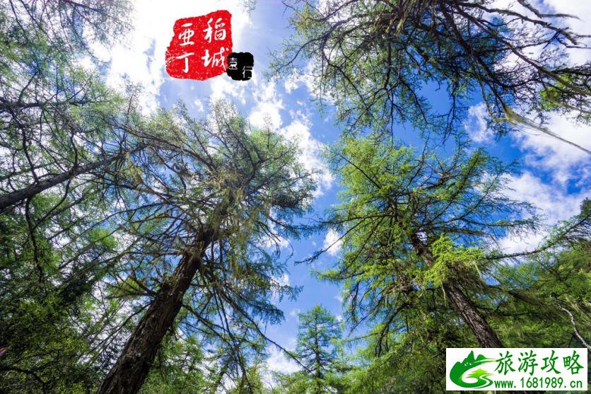 稻城亚丁有什么好玩的 稻城亚丁旅游攻略2017 稻城亚丁有什么好玩的 稻城亚丁旅游攻略2017