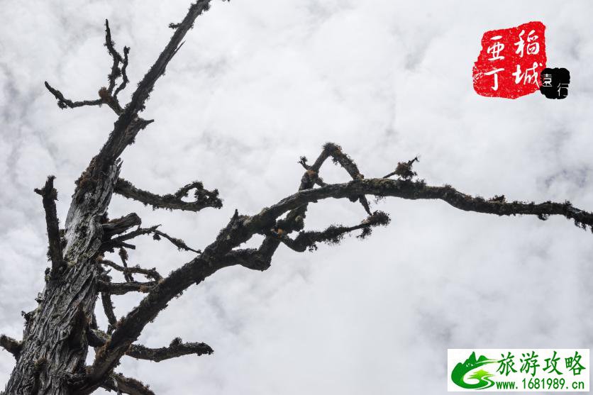 稻城亚丁有什么好玩的 稻城亚丁旅游攻略2017 稻城亚丁有什么好玩的 稻城亚丁旅游攻略2017