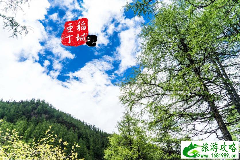 稻城亚丁有什么好玩的 稻城亚丁旅游攻略2017 稻城亚丁有什么好玩的 稻城亚丁旅游攻略2017
