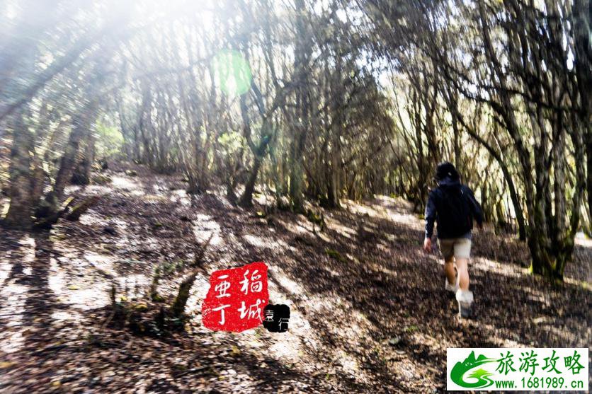 稻城亚丁有什么好玩的 稻城亚丁旅游攻略2017 稻城亚丁有什么好玩的 稻城亚丁旅游攻略2017