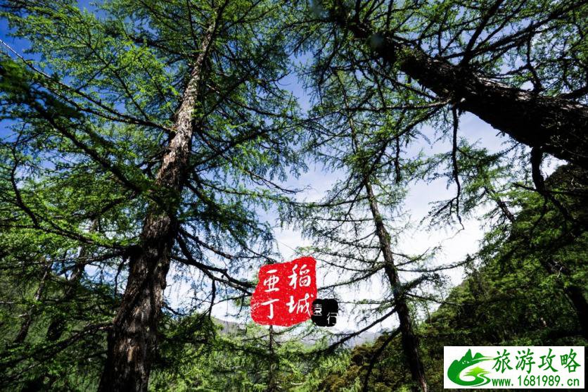 稻城亚丁有什么好玩的 稻城亚丁旅游攻略2017 稻城亚丁有什么好玩的 稻城亚丁旅游攻略2017