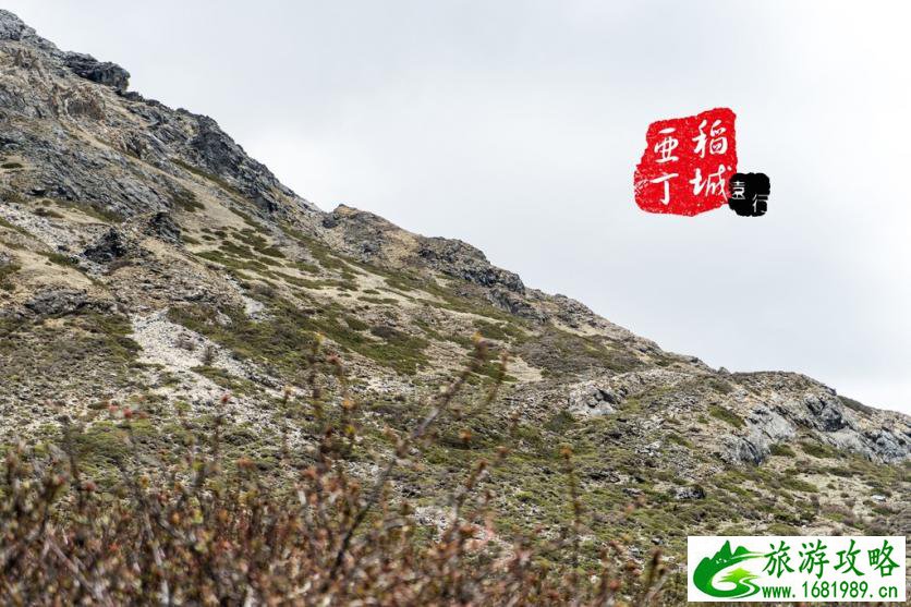 稻城亚丁有什么好玩的 稻城亚丁旅游攻略2017 稻城亚丁有什么好玩的 稻城亚丁旅游攻略2017