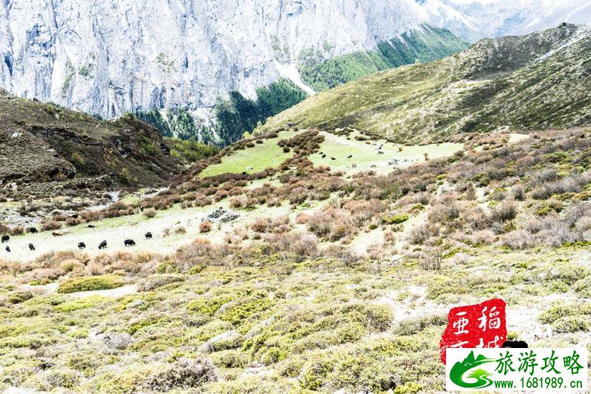 稻城亚丁有什么好玩的 稻城亚丁旅游攻略2017 稻城亚丁有什么好玩的 稻城亚丁旅游攻略2017